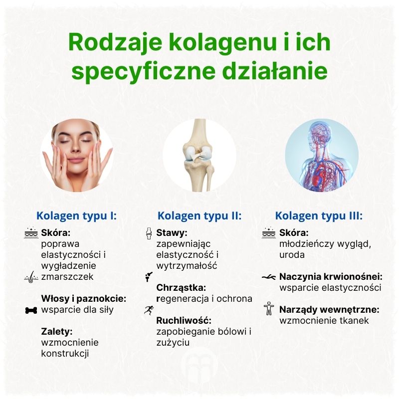 (Polština) - 2025-01-02T140158.264
